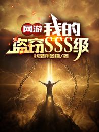 网游我的盗窃sss级 官网