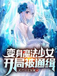 变成魔法少女的我开局被通缉