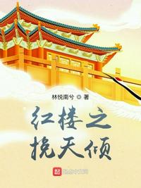 红楼之挽天倾 笔下文学